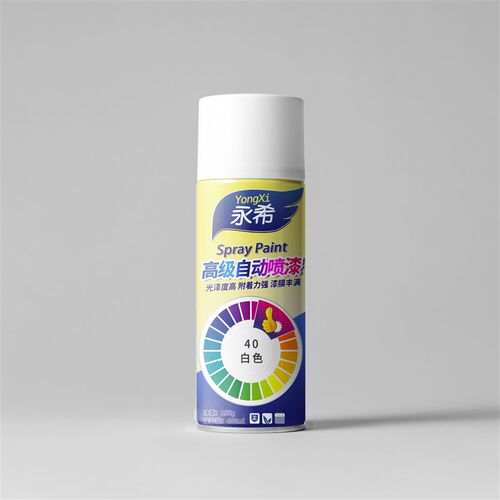 自动喷漆手摇自喷漆金属防锈漆亮光漆家用K白色黑色银色油漆罐喷