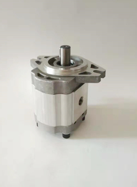 齿轮油泵CBF-F410 F416 F432 F418 F420 F425 F440 F450-ALZP ALP