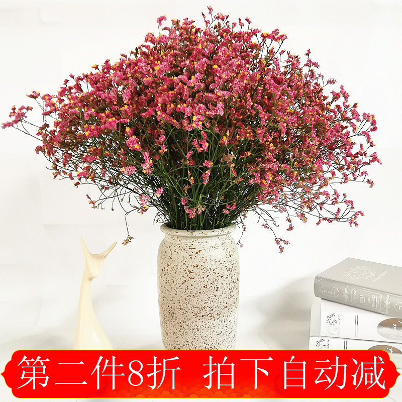 云南真花勿忘我满天星水晶草风干干花花束家居摆设论斤卖装饰摆件