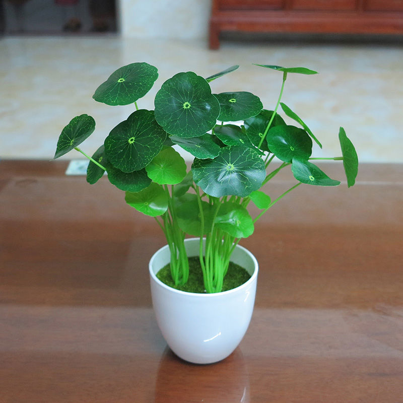 仿真小荷叶拍摄道具插花假花绿植盆栽仿真铜钱草植物装饰客厅摆件