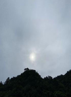 6ES7157-0AC83-0XA0 W年份，10台(崽崽配件）