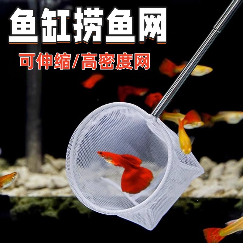 鱼缸鱼捞捞鱼网兜鱼捞手抄鱼网金鱼热带鱼渔捞密网小孔鱼缸捞鱼网