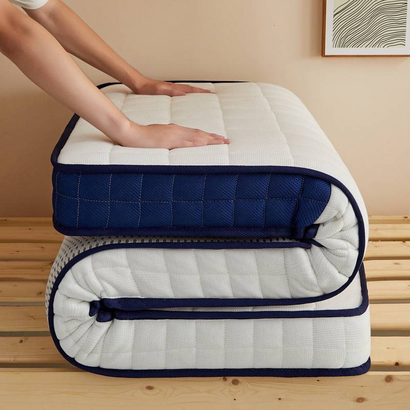 乳胶椰棕海绵床垫90学生宿舍单人租房软垫家用卧室榻榻米垫子加厚