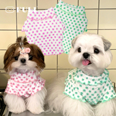FULIPET「红果果绿泡泡」.暖暖系列.西施犬马尔济斯睡衣家居服