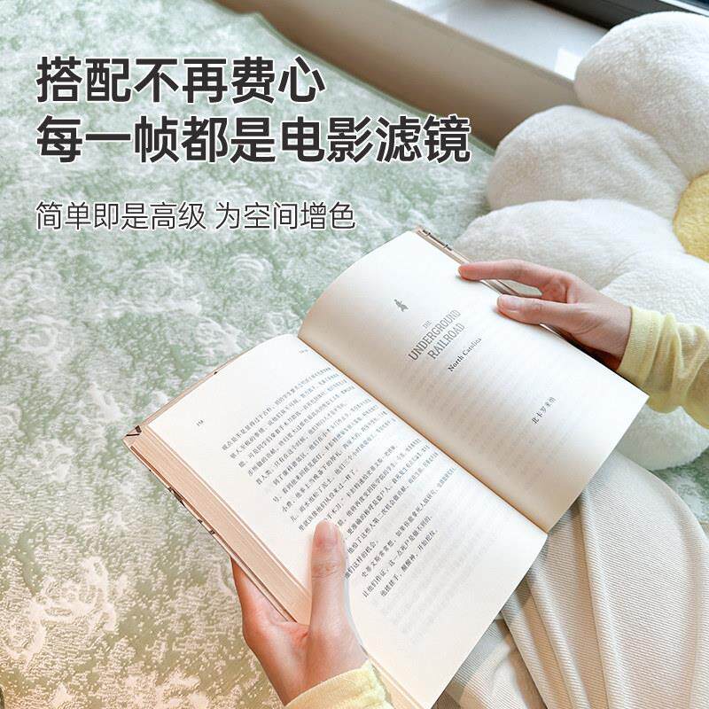 2026款裙边飘窗垫毯窗台四垫新季LFLDDSFD通用轻奢高级感阳台主卧