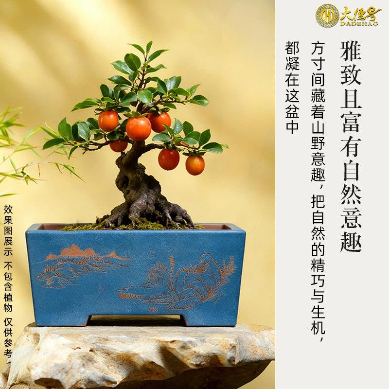 德号长方形陶大瓷盆盆长条崖20251209式景悬紫砂花盆吸水石假山老
