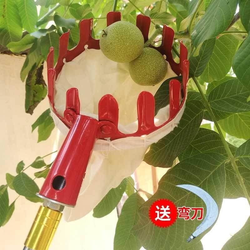 。长多功能采果摘枣器梨子果袋伸缩家用打摘果杆青梅子布兜柚