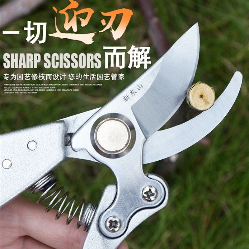新东山 修剪树枝修枝剪修花木园林工具园艺剪刀果树剪子粗枝剪花,3C数码配件,USB多功能数码宝,淘宝优惠券,粉丝福利购,淘宝优惠卷