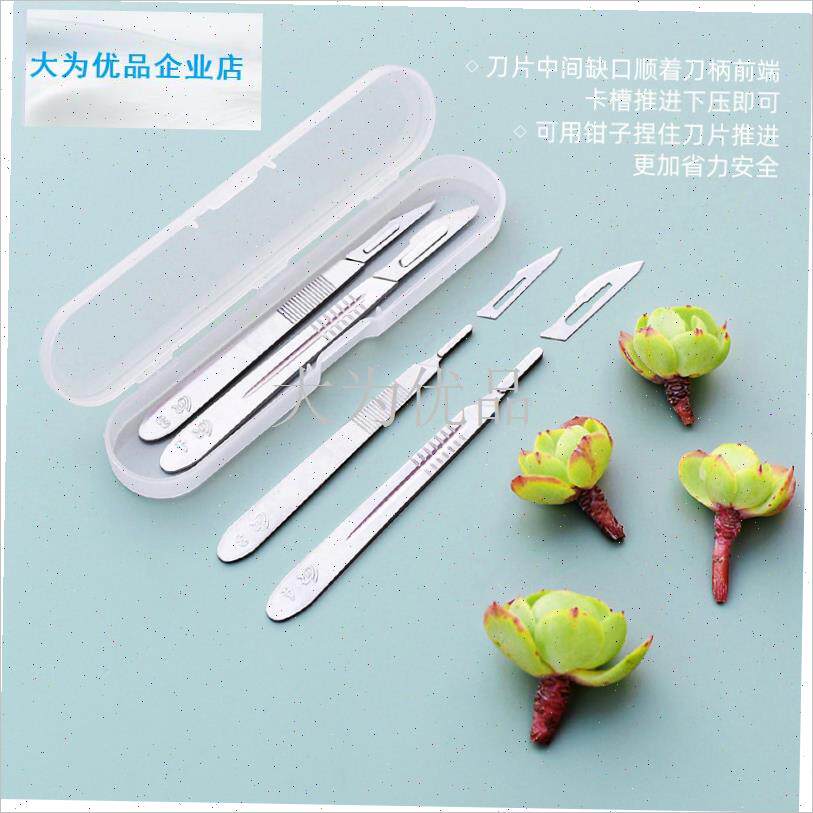 艺嫁接刀多肉砍头刀水仙雕刻刀蟹爪E兰仙人球扦插芽接嫁接专用刀.