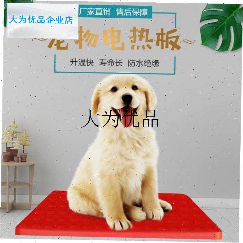 德国进口加热板狗猫兔用电热板小型动物取暖放T尿恒温板宠物电热,