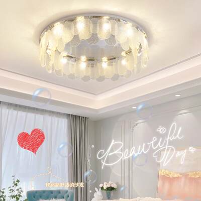 2轻奢厅吸顶灯简现代卧室书房主灯网红风02558年约新款客房间灯具