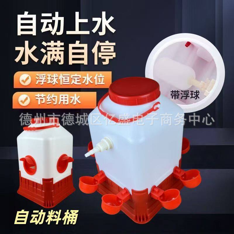 散养自动料筒自动饮水器家禽喂水碗喂食雏鸡水壶水桶鸽子养殖养鸡