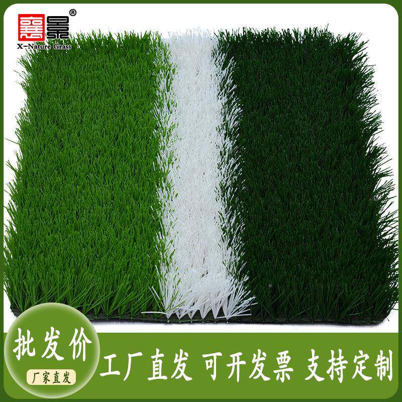 橄襄景运动足球场榄球仿真草坪假草皮垫子运动DW50草场人造草场坪