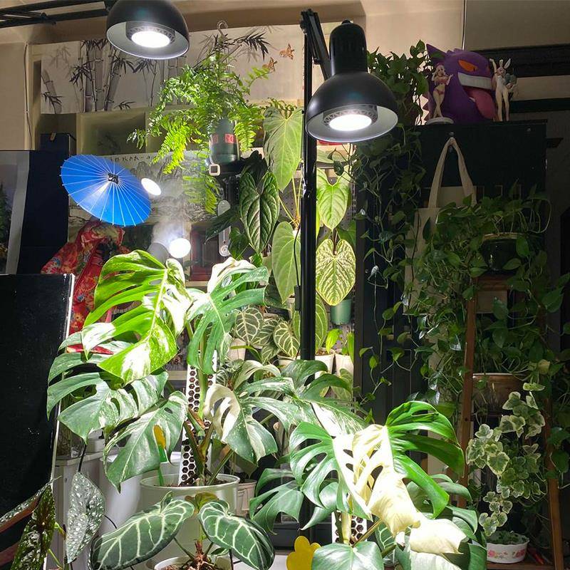 30W植物补灯光植全谱MZA热带绿光盆栽生长灯鱼缸落地灯支架