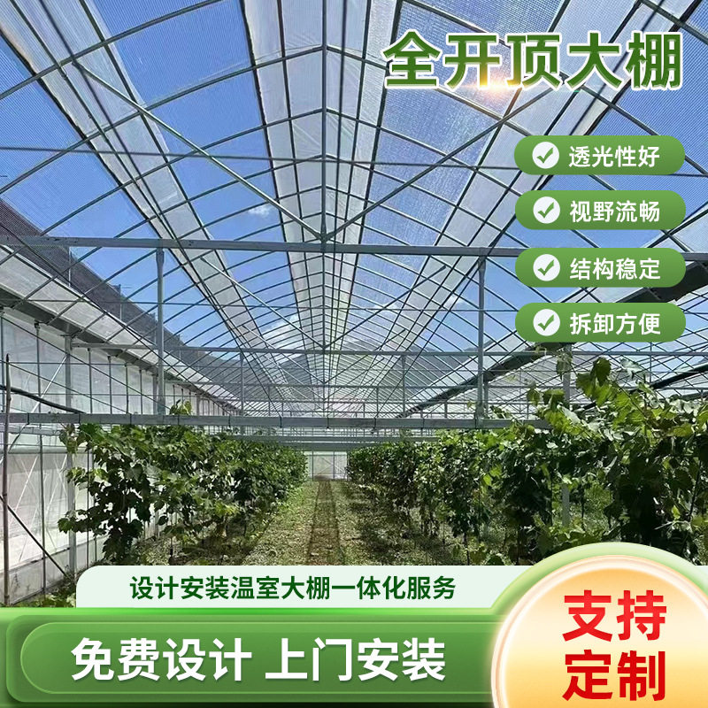 全开顶大棚温室大棚蔬菜温室棚连体花卉种植采光透光大棚骨架钢管