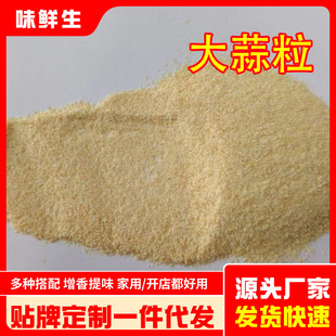 脱水大蒜粒干大蒜粒烧烤海鲜撒料蒜头碎蒜香蒜泥蒜蓉调味料大蒜粒