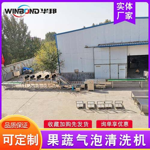清洗泡桑芽菜设备 大型连续高压淋喷备式清洗设 不锈钢气ICT清洗