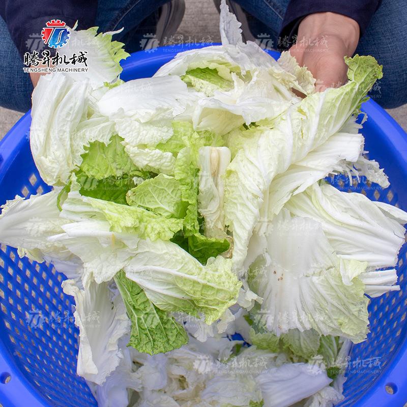 供应工业水机五3脱量04不锈钢脱水机金甩干机食品蔬菜TS-T12大容