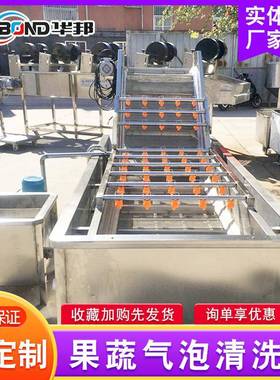 果蔬清洗水线VLZ 平菇香菇气洗泡清洗机 米流花生清除杂玉设备