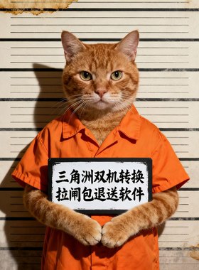 三角洲行动 YM TransForm 双机转换DMA 拉闸包退送副机软件月卡