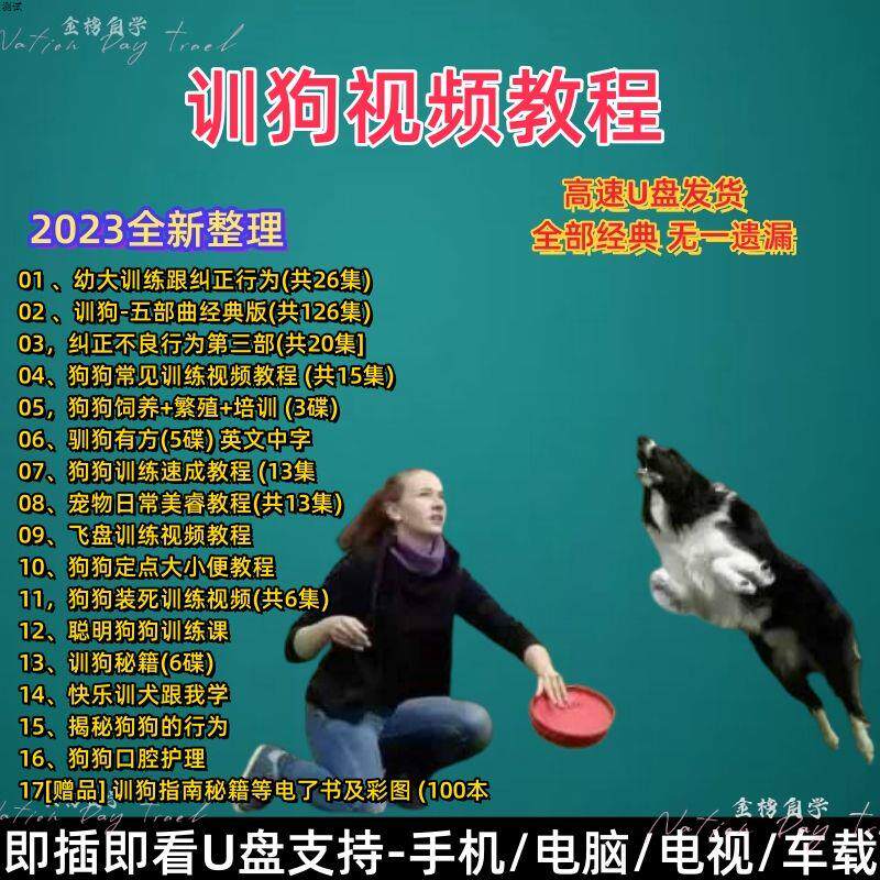 训狗教程视频课程U盘泰迪金毛哈士奇马犬拉不拉多零基础训犬视频