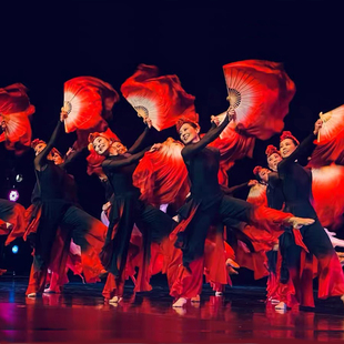 新款古典舞现代舞海阳胶州秧歌抬龙王扇子舞溯跃舞蹈服艺考群舞服