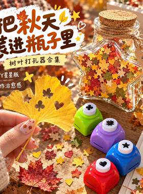 剪秋diy星星瓶树叶按压打