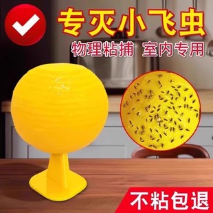 果蝇诱捕器粘虫球诱苍蝇小飞虫室内室外摊位厨房农村灭蝇神器