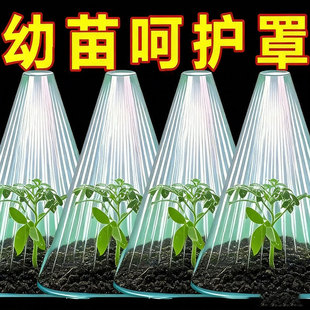 育苗保温罩重复使用方形植物钟罩大棚免受鸟类霜冻伤害保护防虫袋