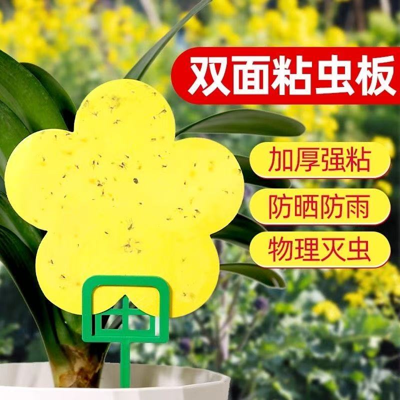 小黄板花型粘虫黑飞双面