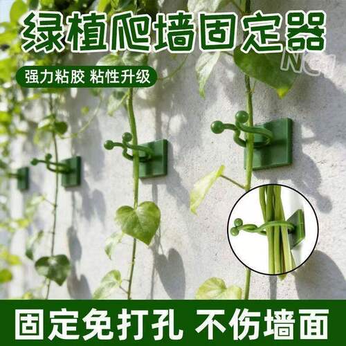 绿箩爬上神器爬墙上固定