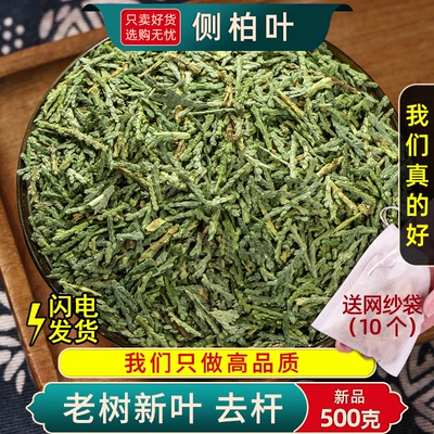 侧柏叶正品中药材500g批发泡水洗出乌黑亮发侧柏叶洗发包侧柏叶粉