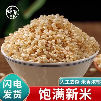粳米中药材新米粳米熬米油非特级正宗药用官方旗舰店煮粥农家梗米