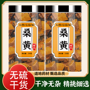 桑黄中药材正品西藏野生小努桑树桑黄的功效和作用正宗桑黄茶泡茶