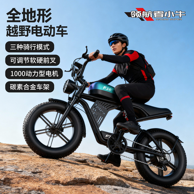 【领航者小牛】超强动力电动车