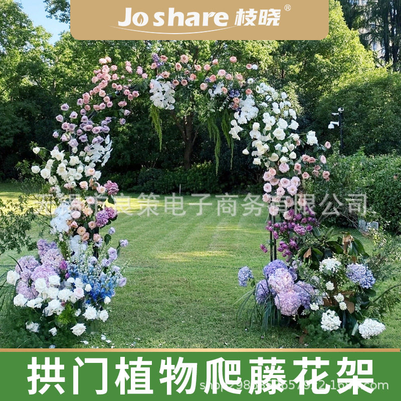 枝晓拱门花架园艺爬藤支架