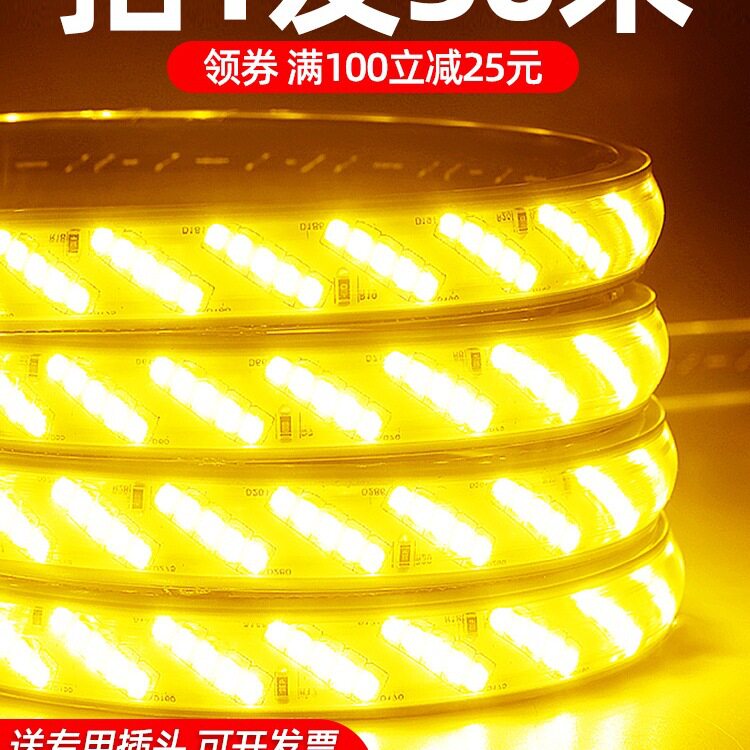 220V户外防水暖光LED灯带