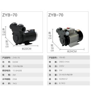 柏芮特车载静音加油泵1交流直流NHQ吸泵2v242v20V加油自站柴油抽