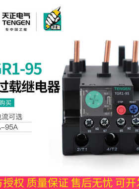 TENN天正 TGR1-95热继电器JR28-93 JRS1D NR2-93热过载保护器