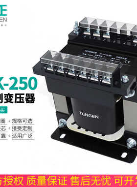 TENN天正BK-250VA单相控制隔离变压器380V变220V 36 24 12 6V铜