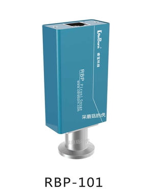 睿宝 RBP-101电阻真空变送器  电阻真空计, RBP-021压力变送器