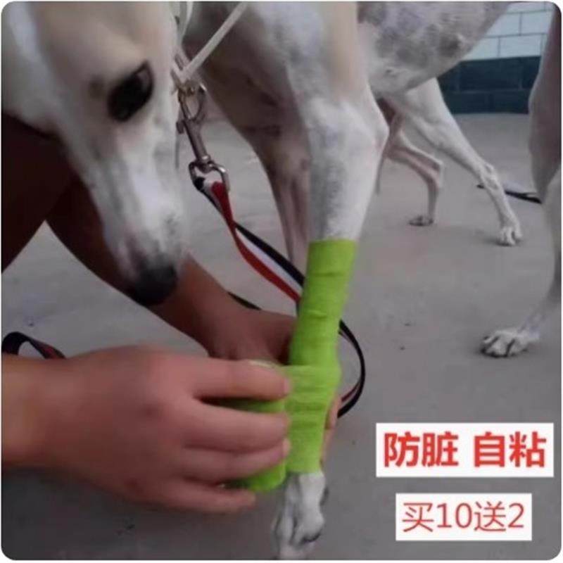 狗狗外出防脏自粘布带绑腿胶带宠物缠脚绷带遛狗防脏布套防舔神器