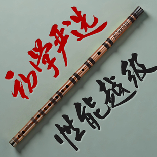 劉成淺吟款 樂器 笛子初學入門演奏竹笛橫笛專業院校機構推薦