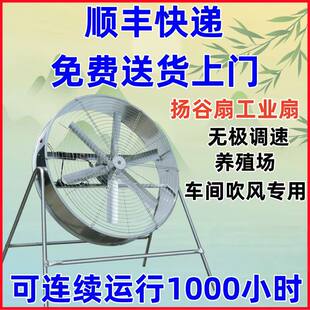 扬谷扇大强力通风机农用扬谷通风调速工业风扇工厂养殖降温大功率