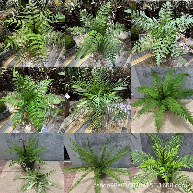仿真蕨类植物大把束波斯叶散尾葵凤尾蕨肾蕨山草地面造景装饰绿植