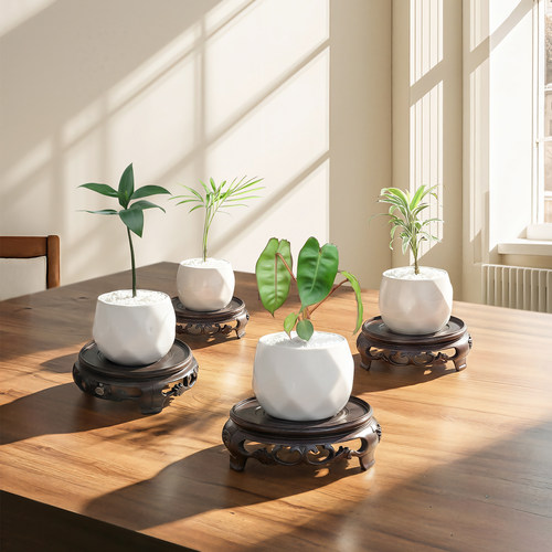 室内桌面好养绿植陶瓷小盆景植物