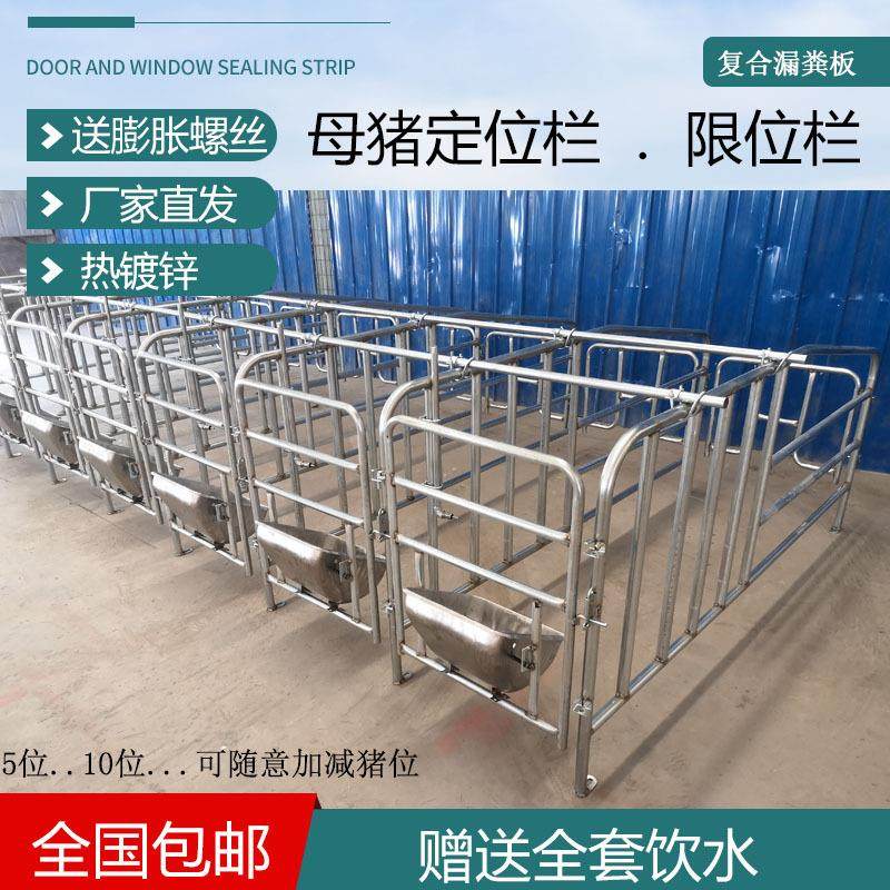 落地式母猪定位栏限位栏猪用栏位养猪设备新款加厚母猪限位栏热镀