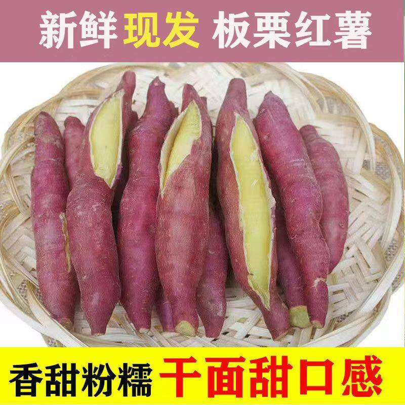 陕西虢王正宗板栗红薯新鲜红蜜薯紫薯沙地地瓜超甜糖心火锅食材