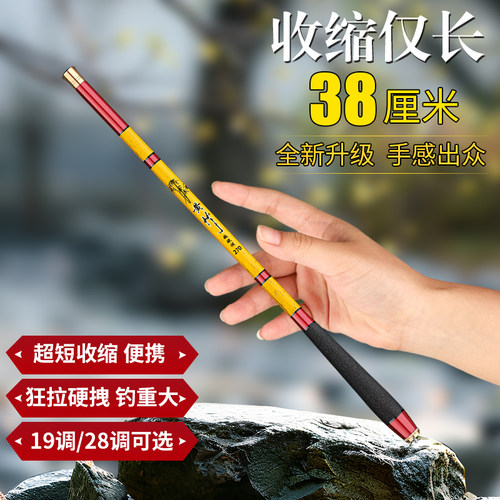 日本进口碳素新款！袖珍迷你鱼竿