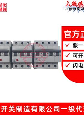 常熟开关CH3N-63小型断路器1P2P3P4P空开10A16A20A25A32A63A 125A